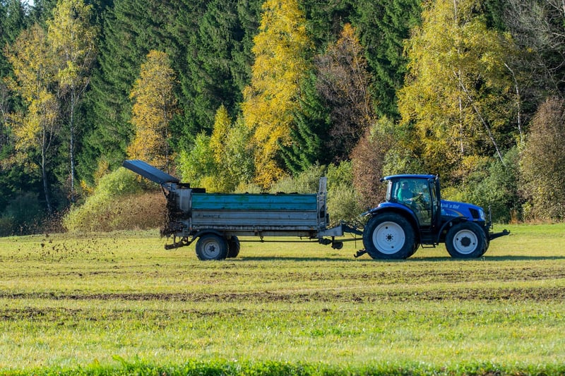 Fertilizing Strategies
